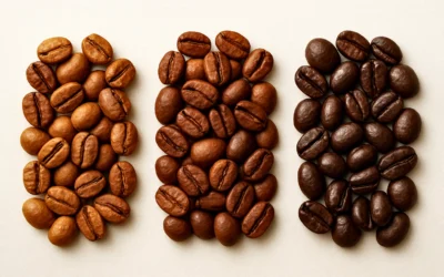 Roast Personalities: Finding Your Coffee Soulmate